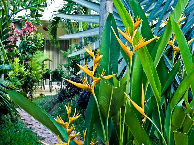 Battambang Resort Exteriér fotografie